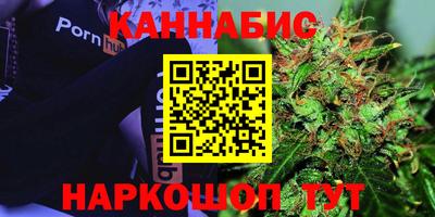 сатива Будённовск