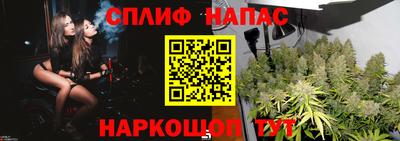 сатива Будённовск