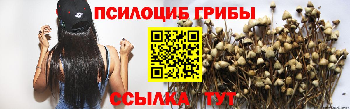 Галлюциногенные грибы мухоморы Лабинск