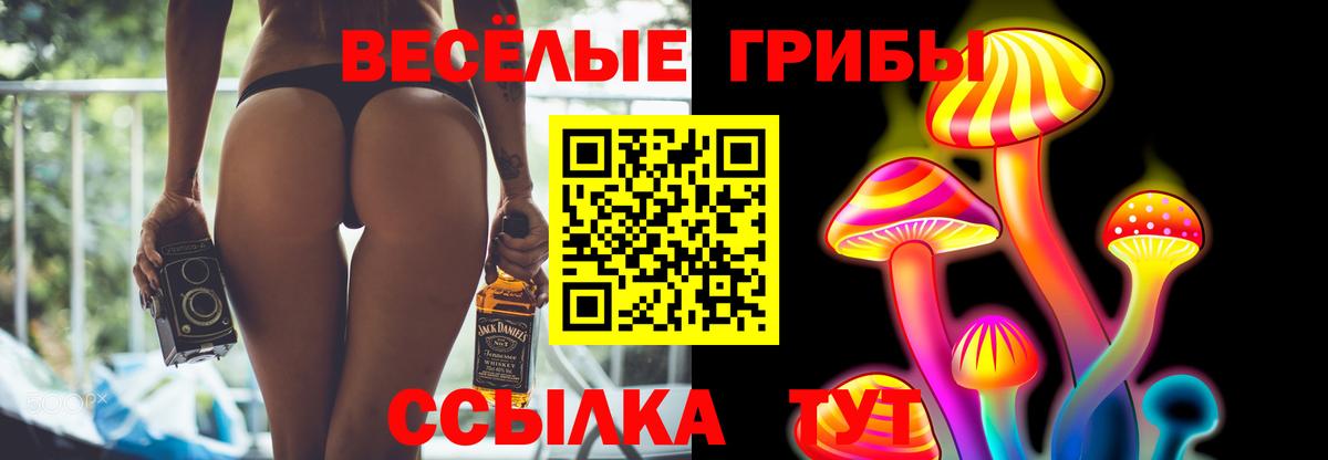Лабинск  Псилоцибиновые грибы Psilocybine cubensis  Вход с VPN 